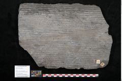 Foto (Objekt + Etikett) von Sigillaria elongata Brongniart (NHMW-GEO-2024-0188-11053)